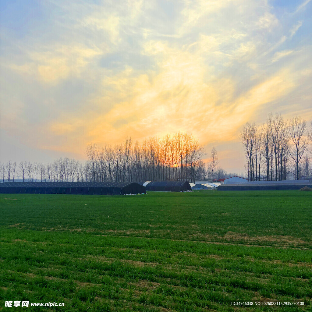 夕阳下的广阔田野风光