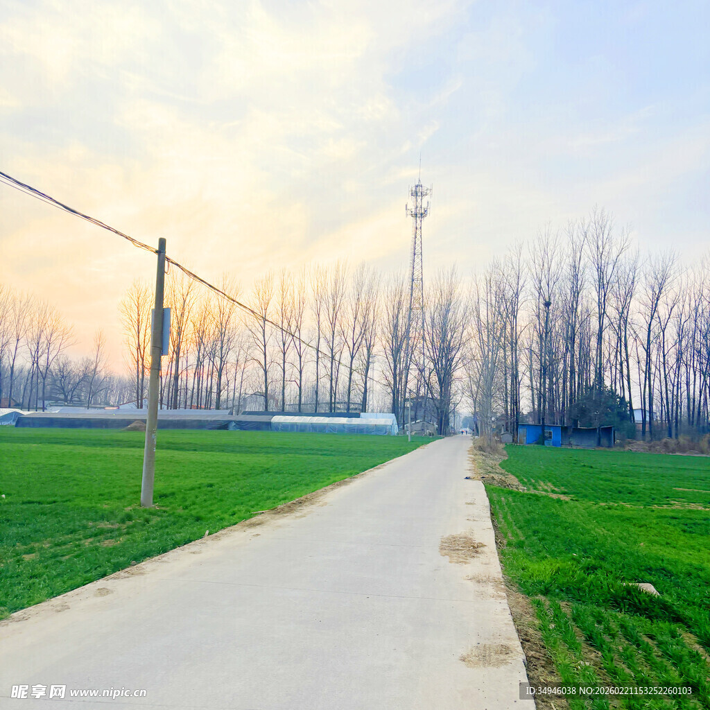 乡间小路的春日田园风光