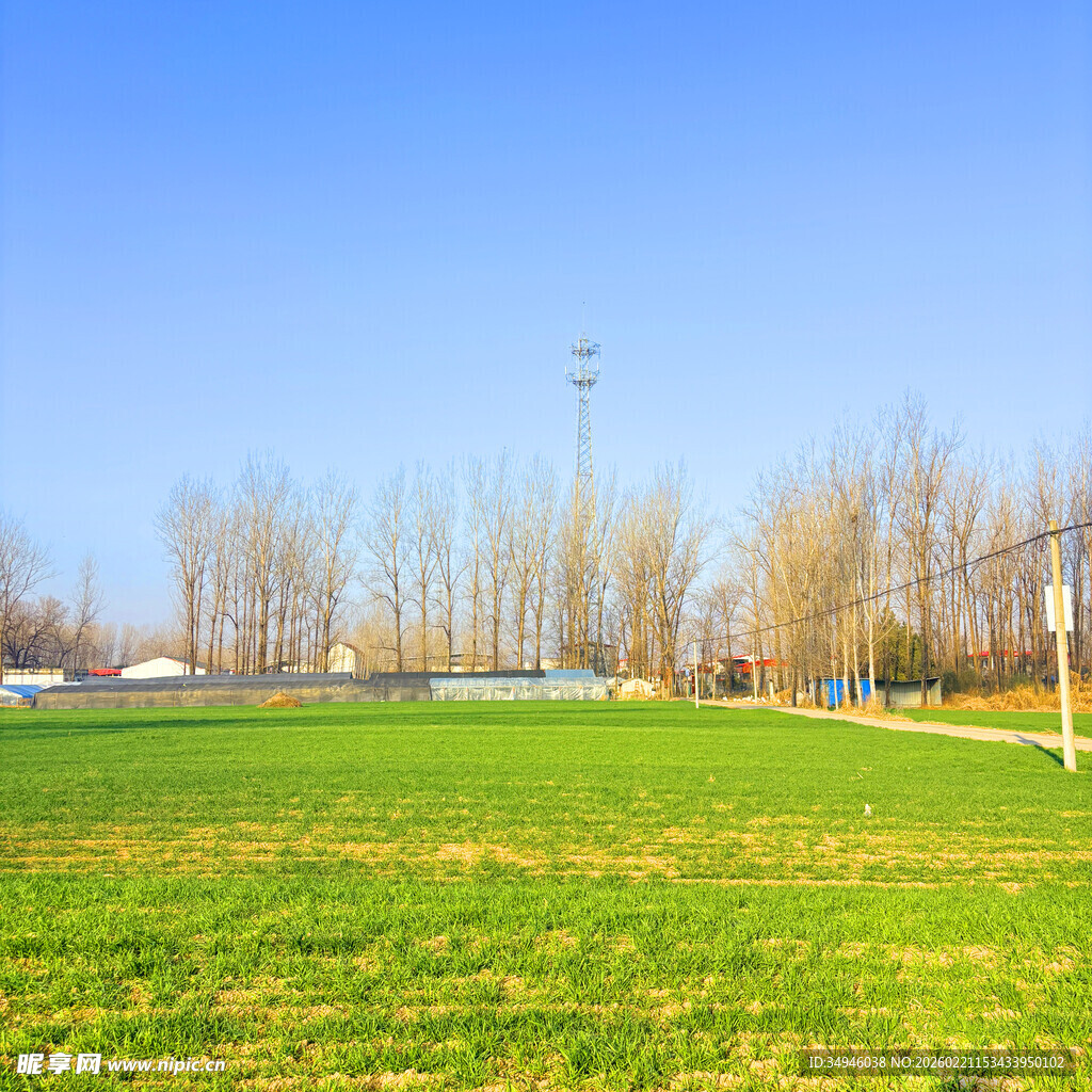 户外绿草地与树木景观