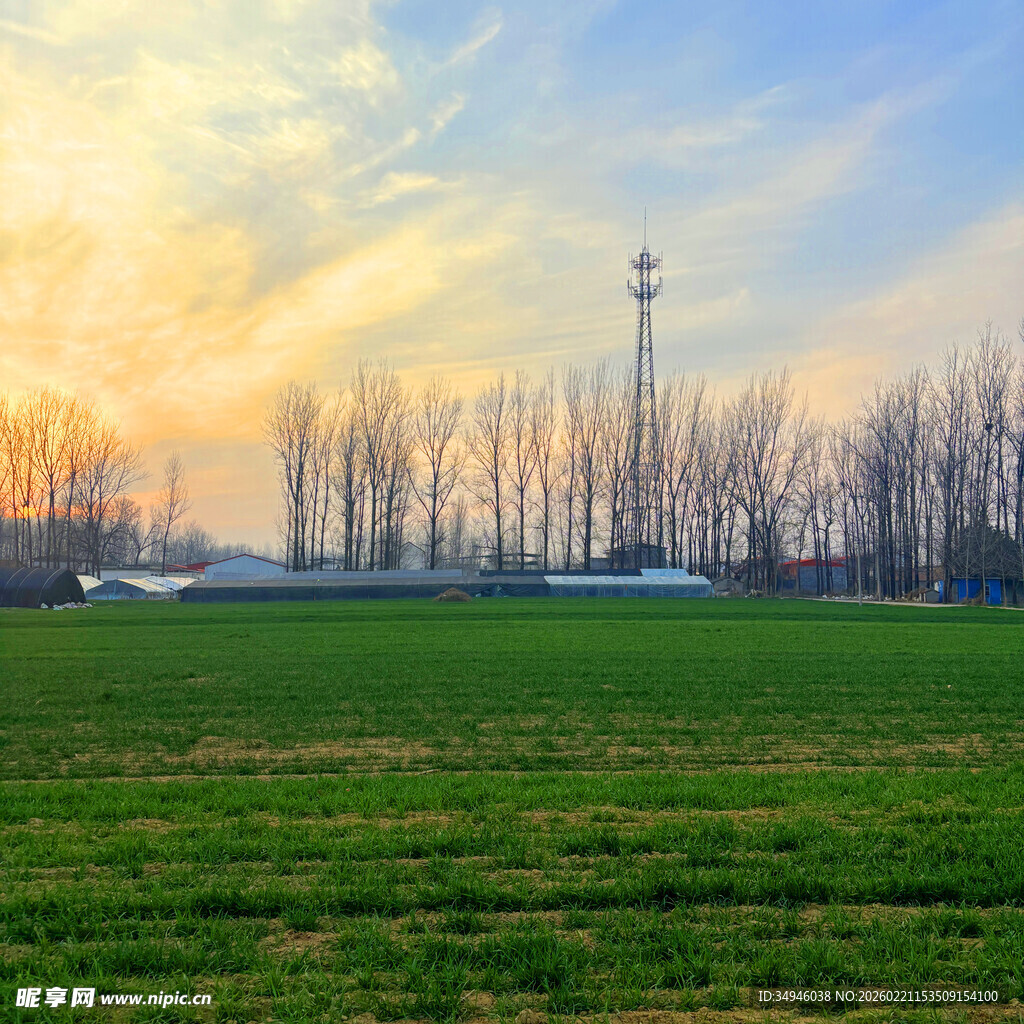 夕阳下的田野与通信塔