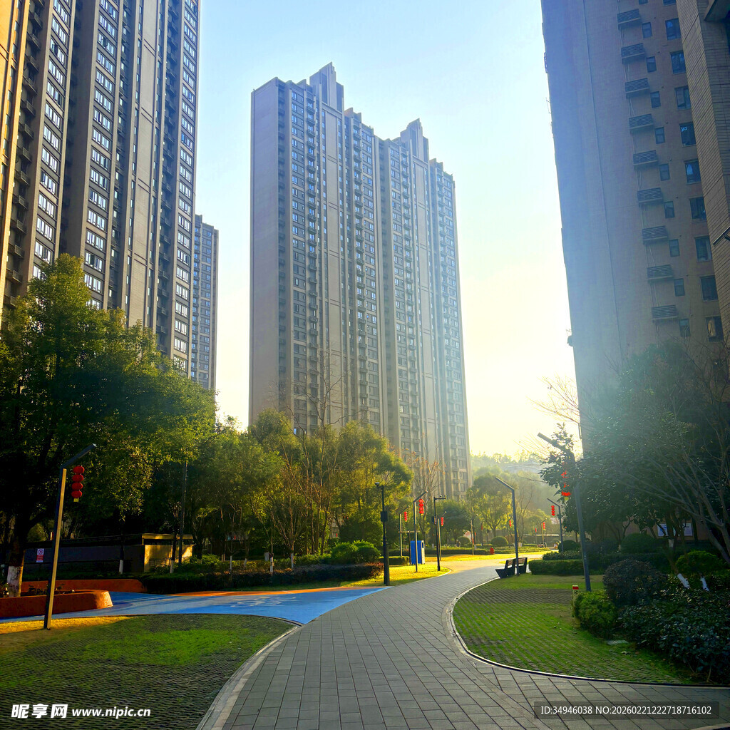 城市住宅区的阳光林荫道