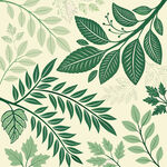 清新绿叶植物花纹