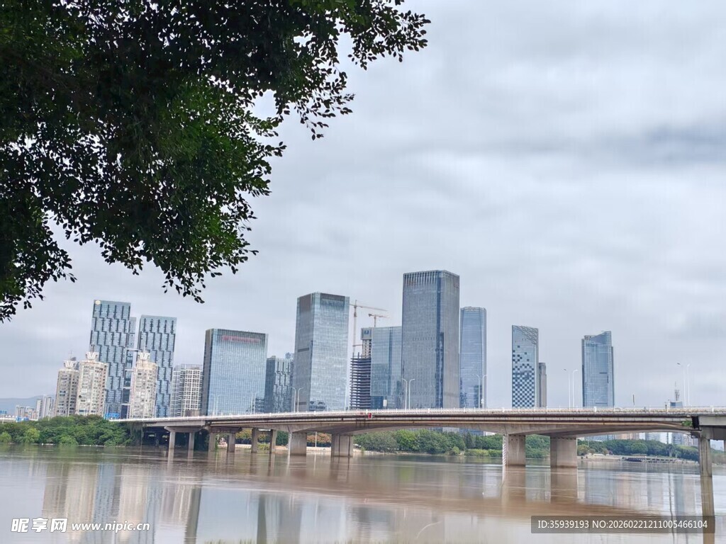 桥梁边的高楼群