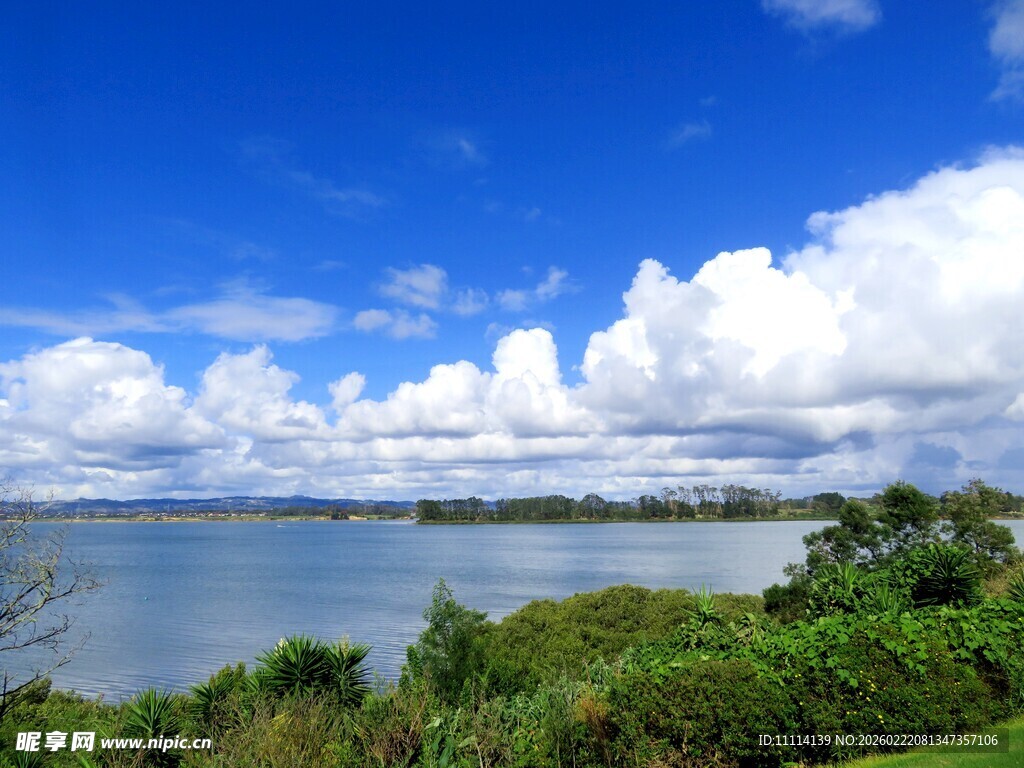海滨蓝天绿树美景