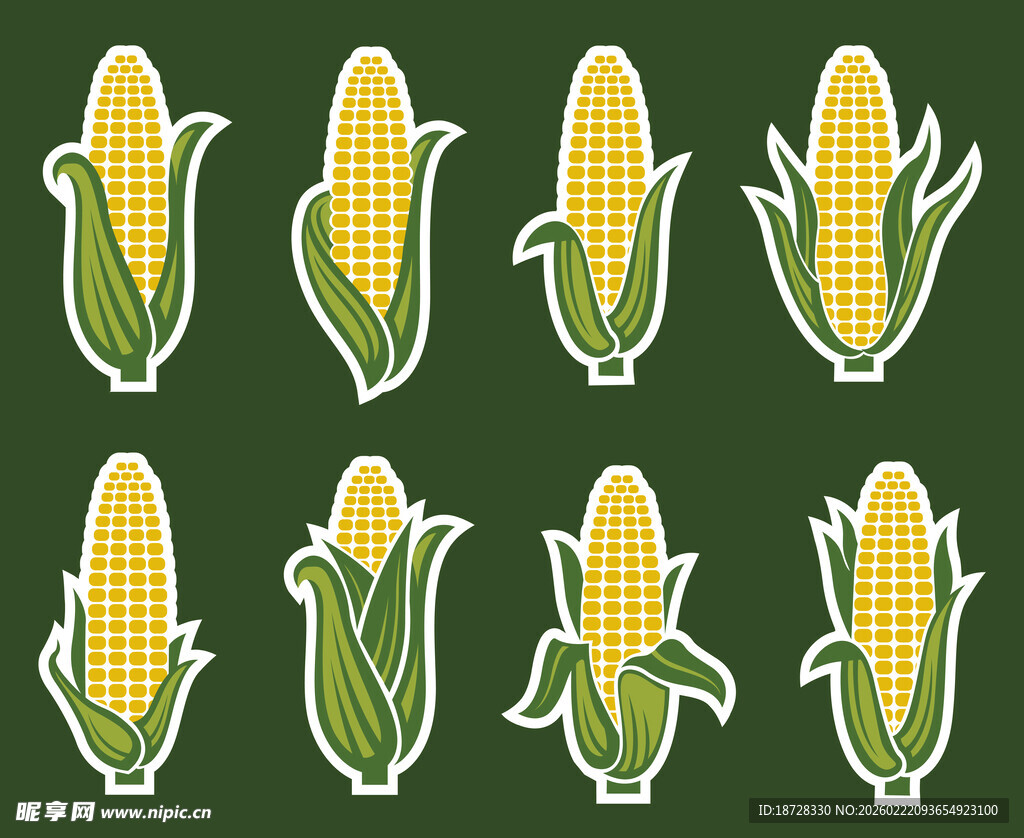 玉米图案