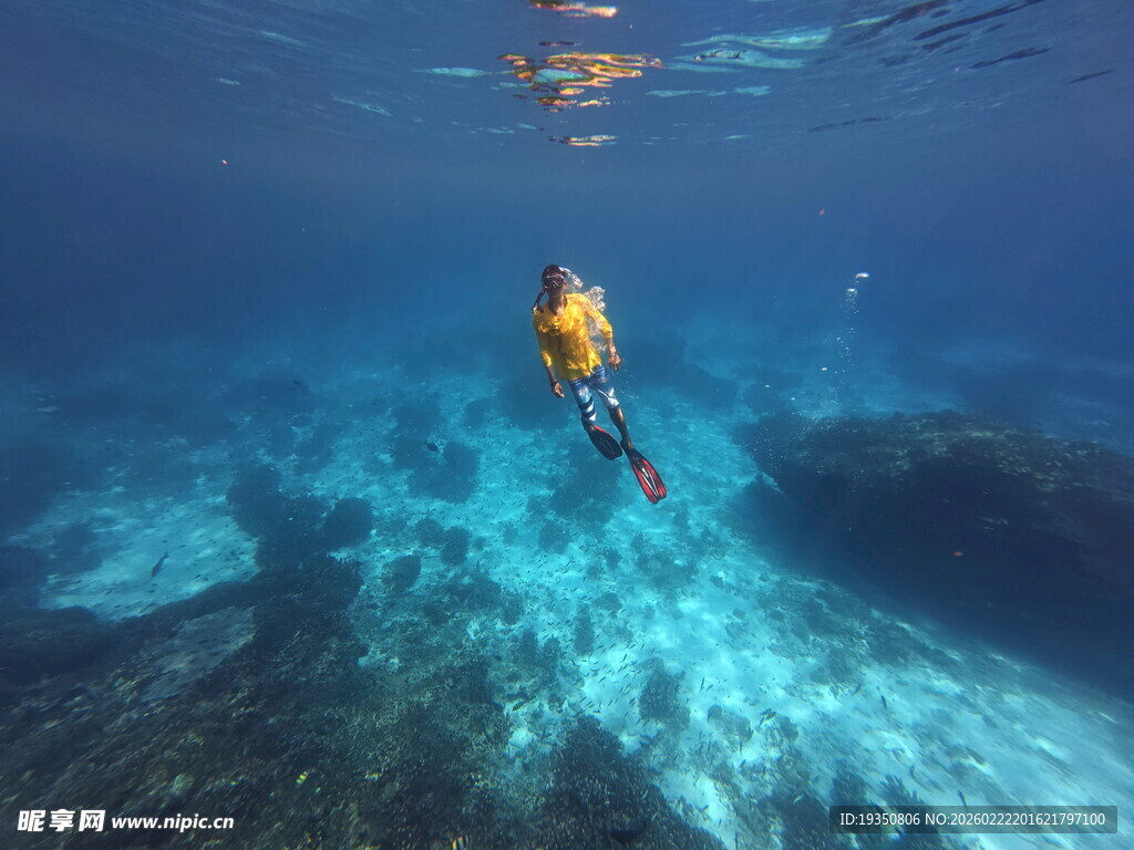 水下潜水员探索美丽海底世界