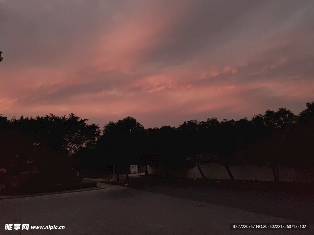 黄昏下的树林与绚烂天空