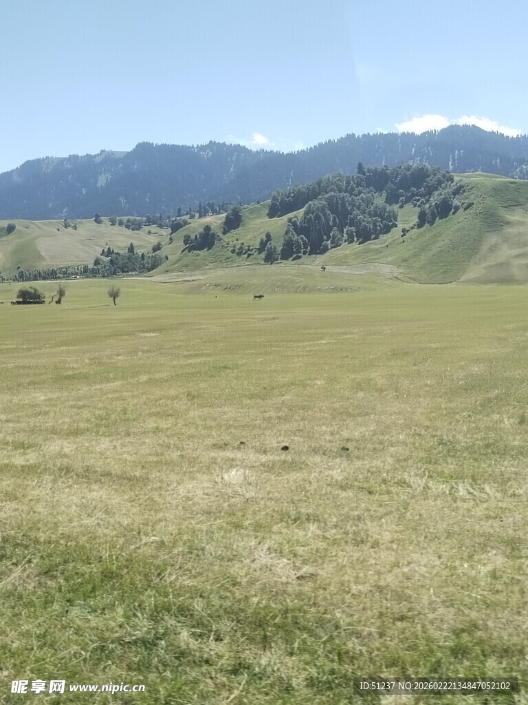广袤草原与远处山峦风光