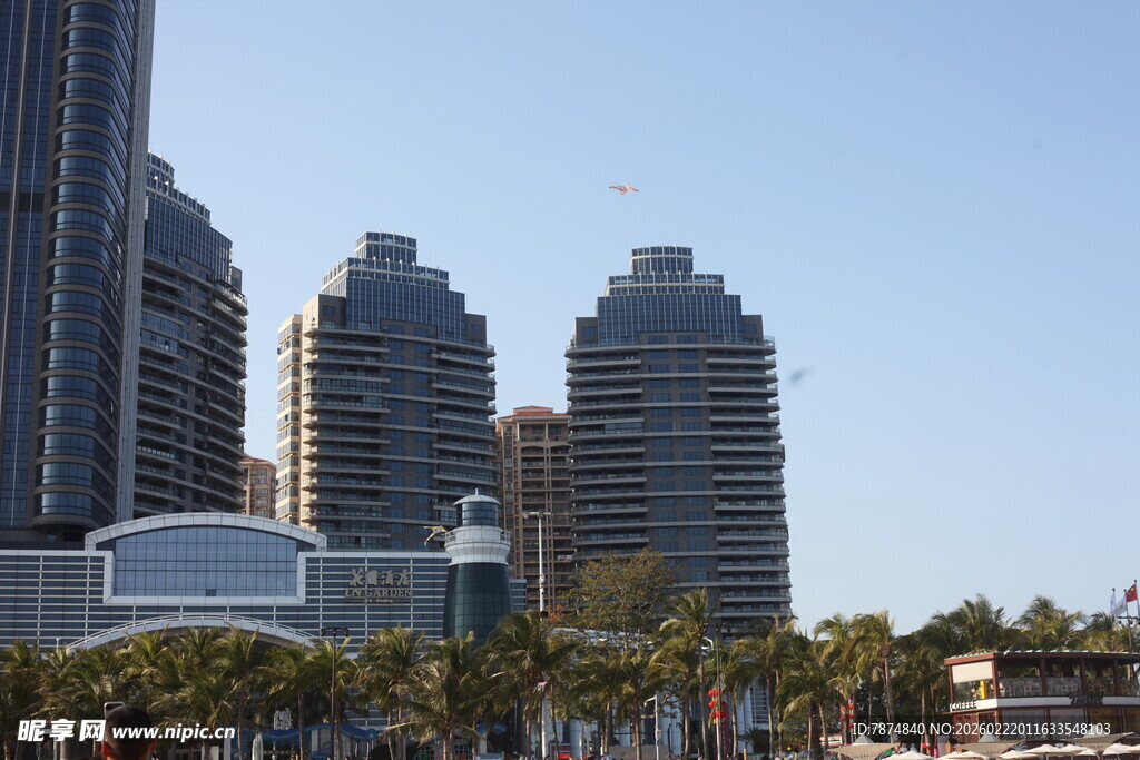 海滨城市高楼与棕榈树景观