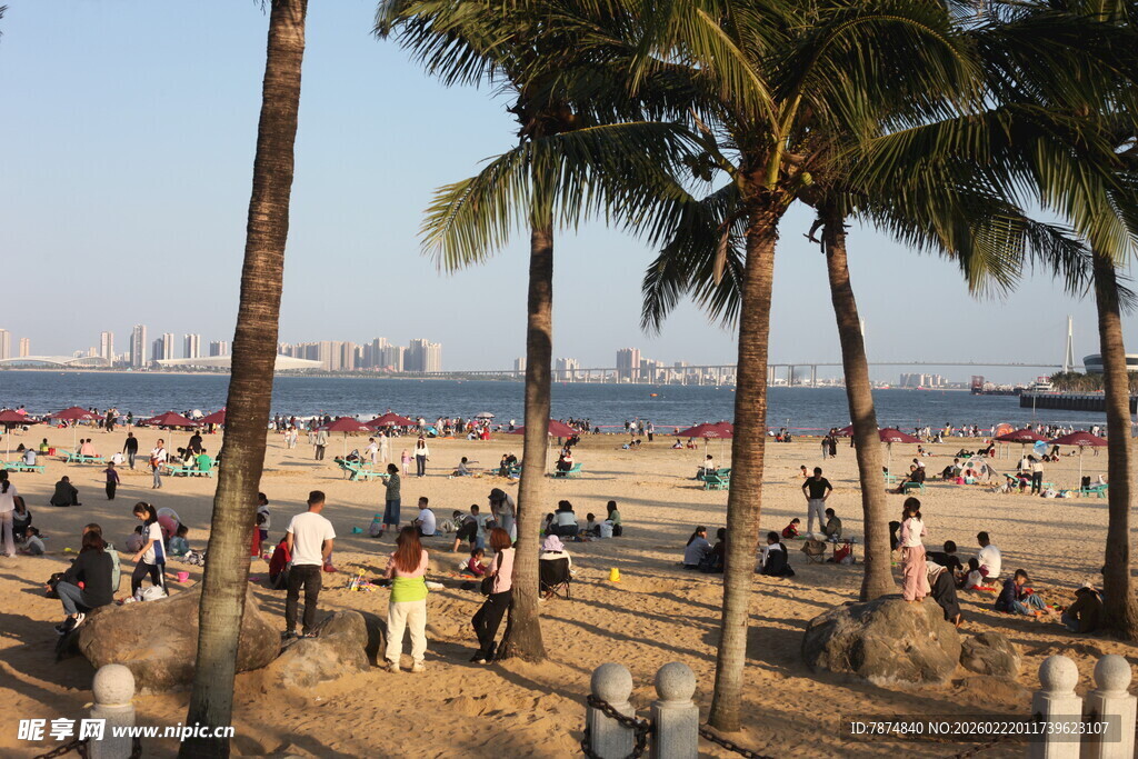 热闹的海滨沙滩休闲场景