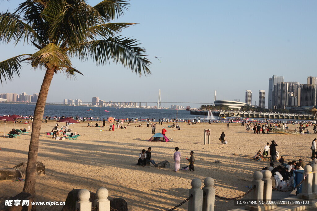 热闹的海滨沙滩场景