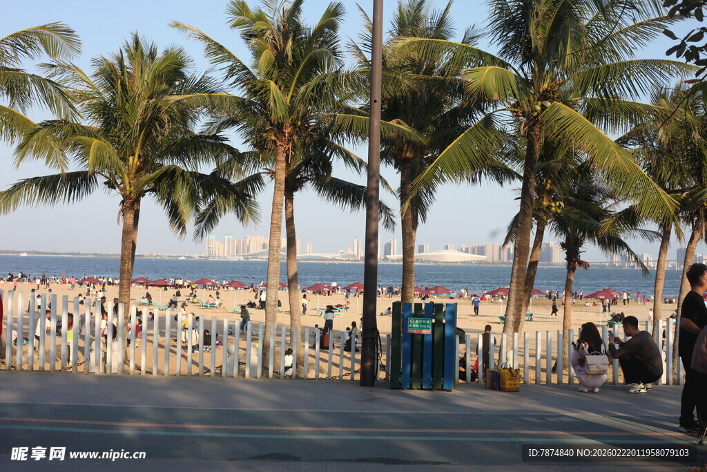海滨路旁的椰树与行人