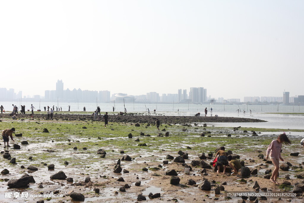 滩涂景象 远处城市朦胧