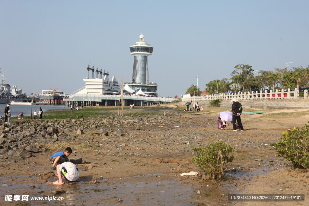 海边游玩场景 人们亲近自然