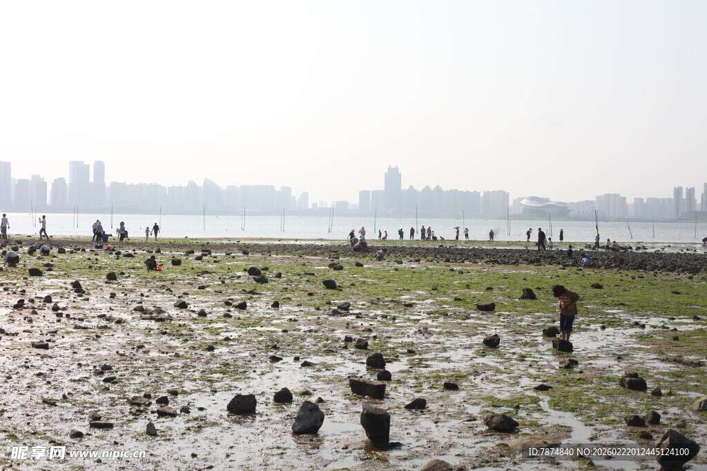 滩涂湿地景观