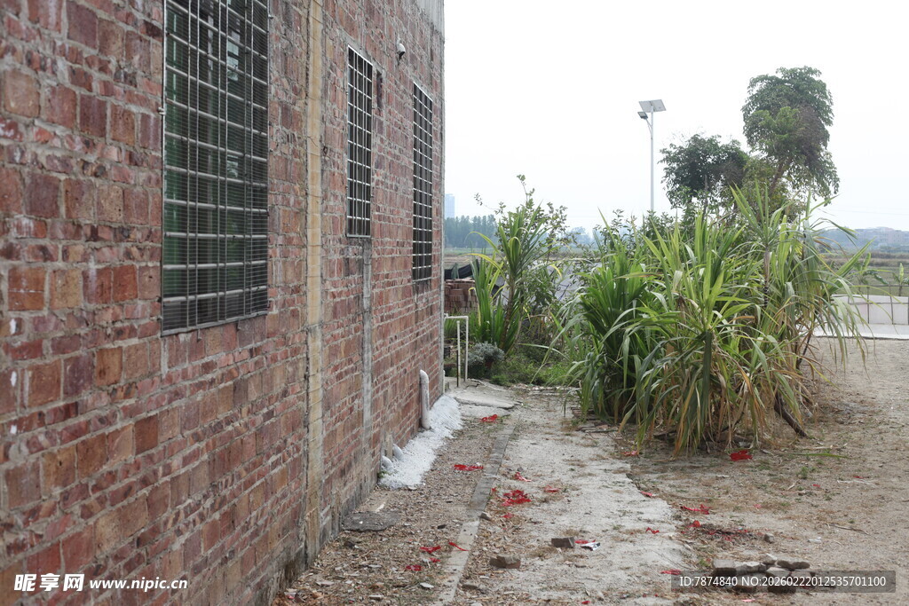 砖墙旁的绿植景象