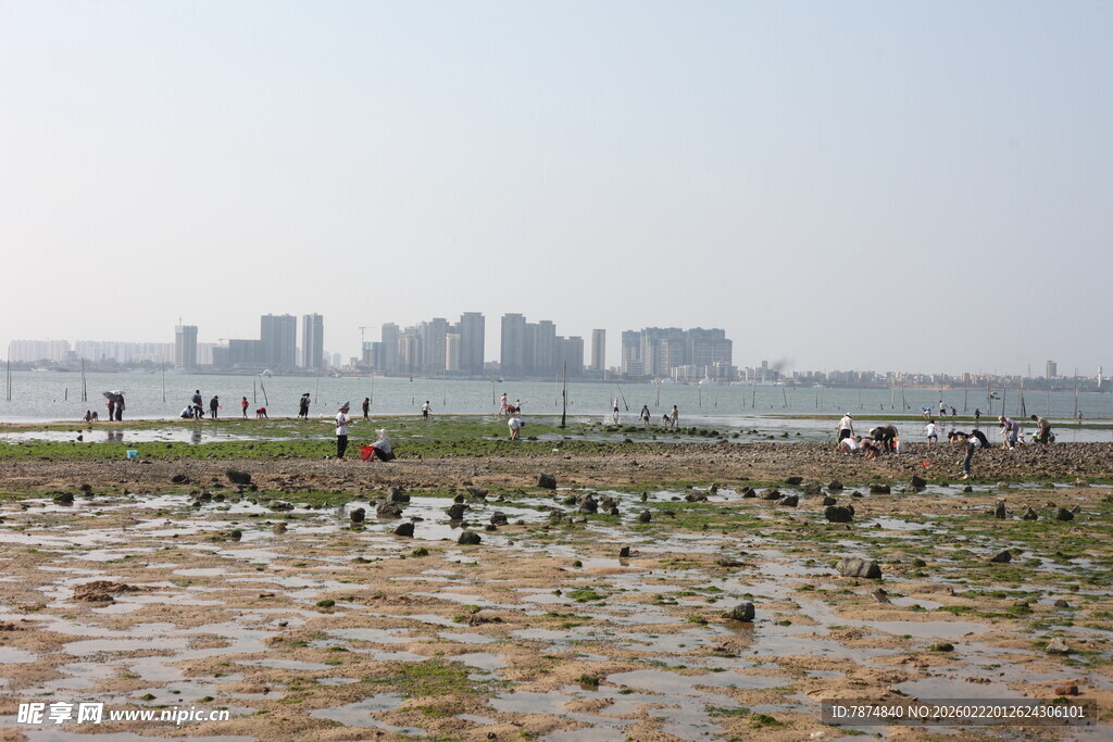 城市边的湿地滩涂景观
