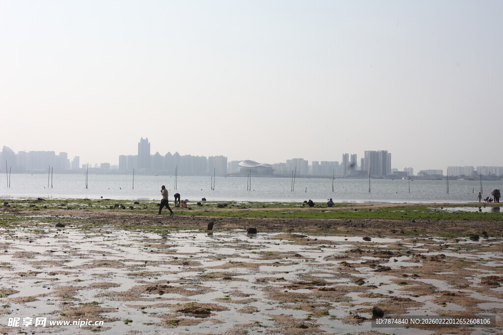 江边滩涂景象