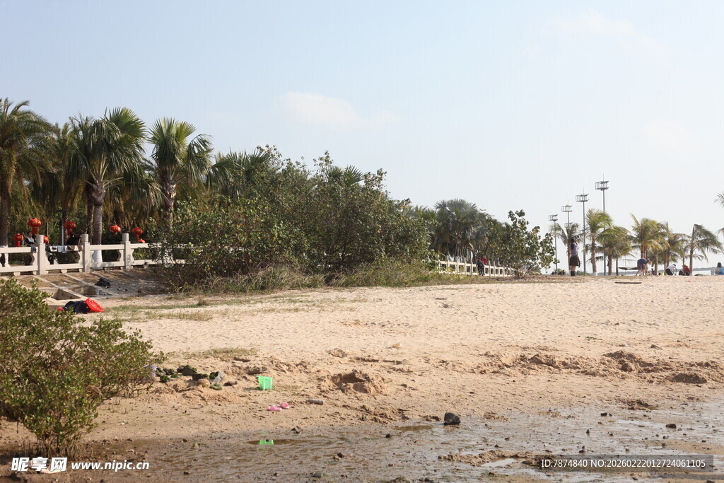 沙滩边的自然景致