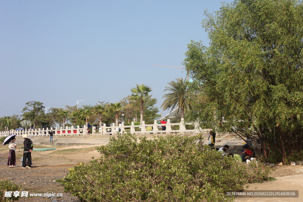 户外绿植旁的休闲场景