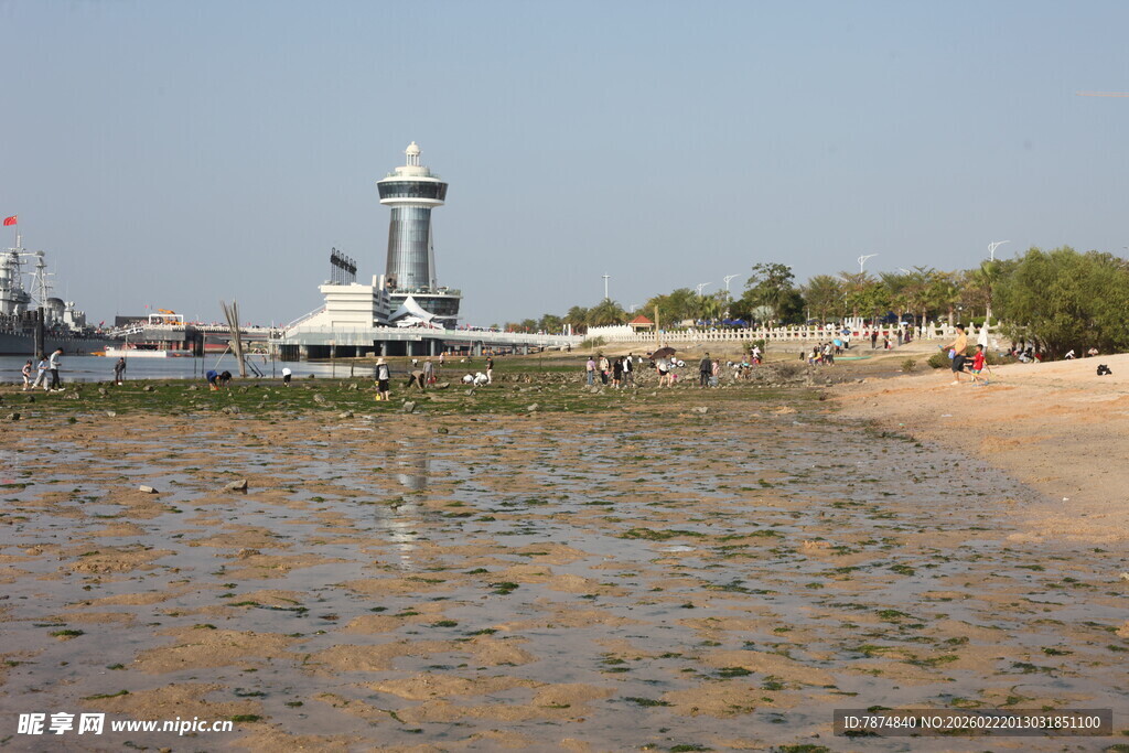 海滨灯塔下的滩涂风光