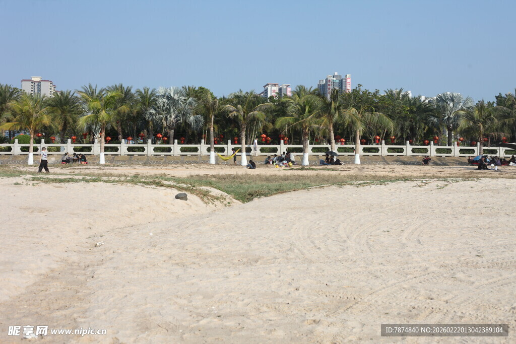 沙滩边的绿树与围栏景观