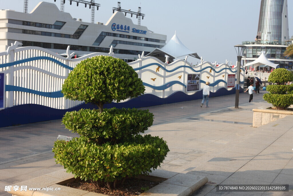 港口景观与造型绿植