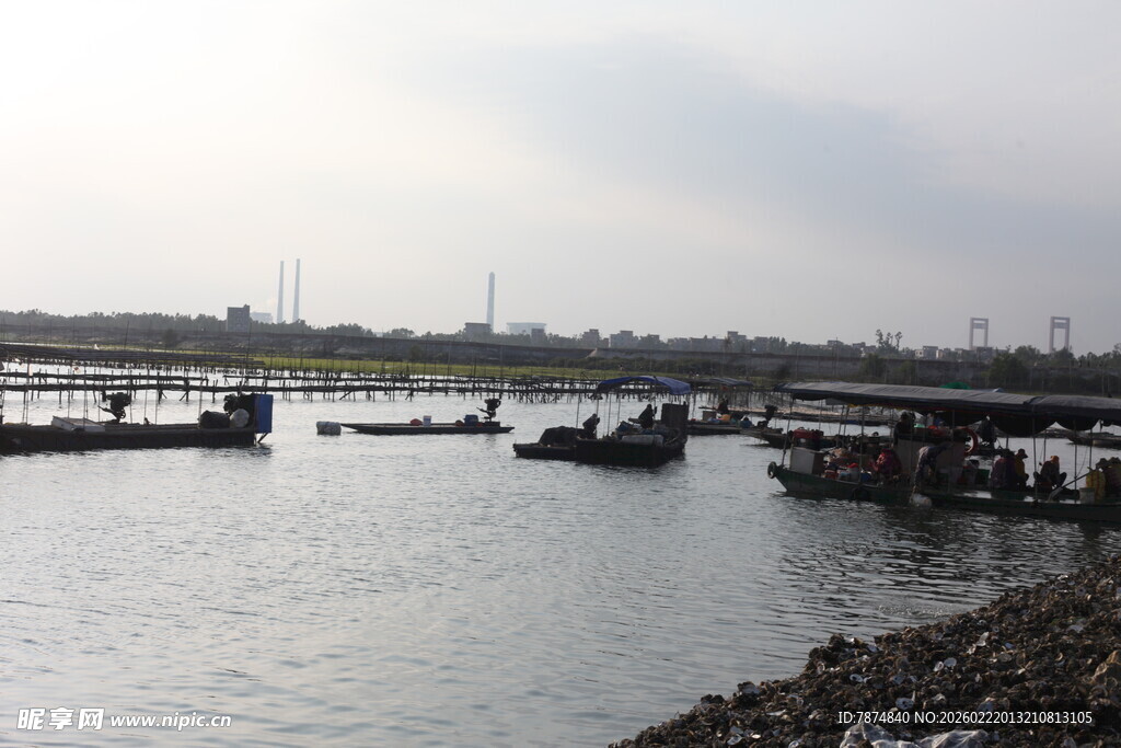 河畔船只停泊景象