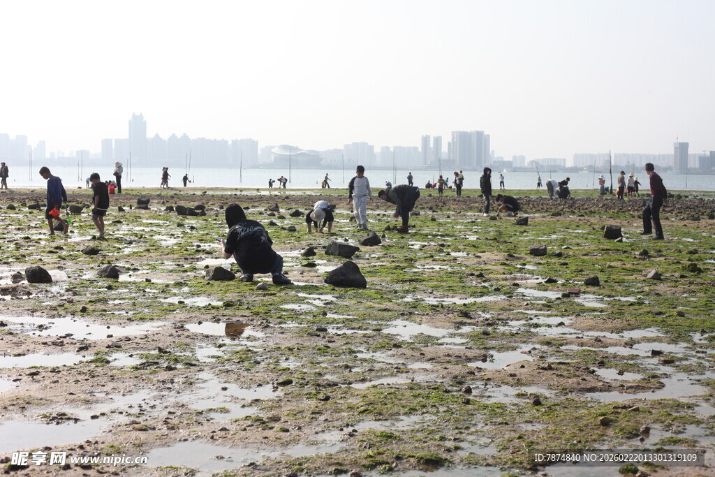 海滩上的人群与湿地景观