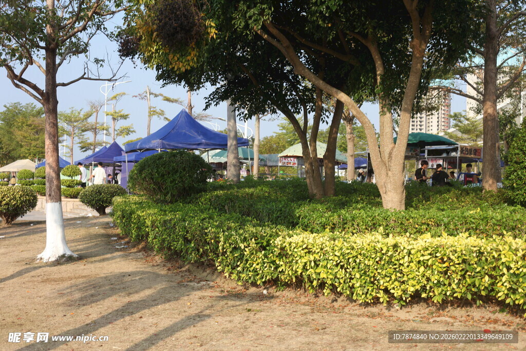 户外花园中的蓝色帐篷景观