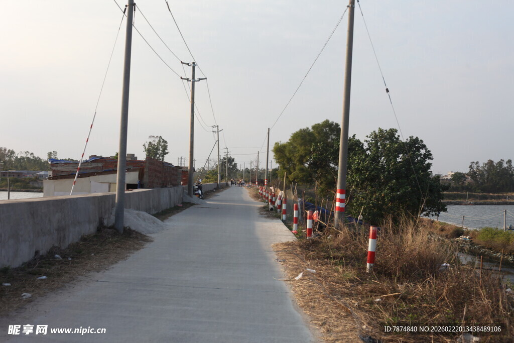 乡间小路旁的宁静风景