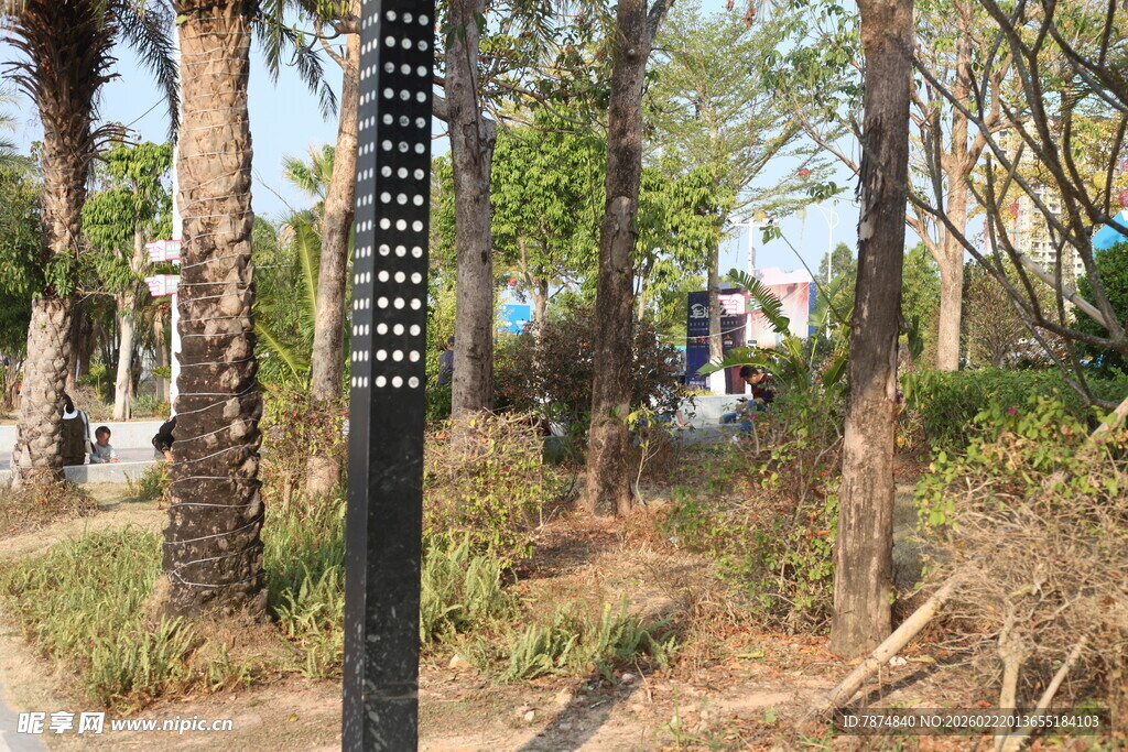 户外路旁的黑色柱状设施