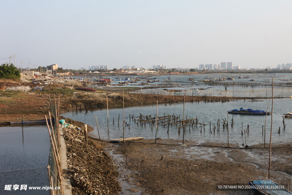 海边滩涂景象