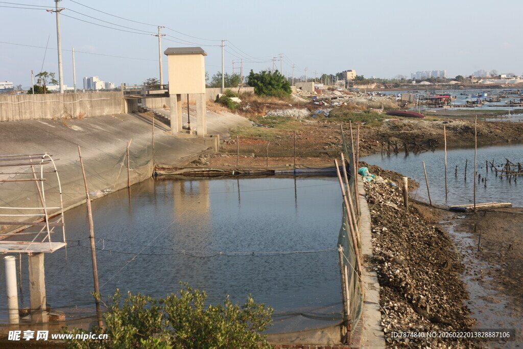 乡村水塘及周边景象