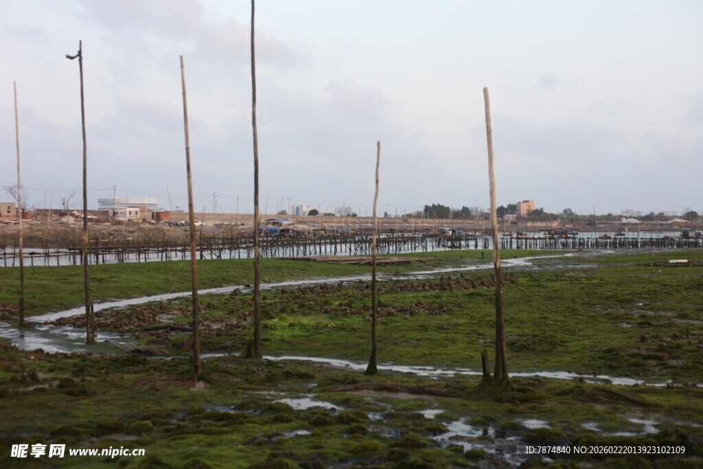 户外田野草地及围栏景象
