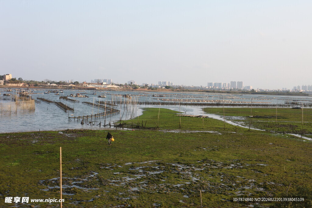 湿地风光 自然生态美景