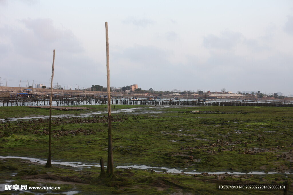 田野风光中的农田与电线杆