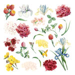 多彩花卉图案集合