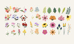 多彩手绘花卉植物图案集