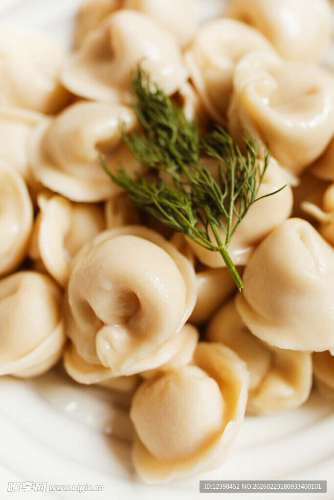 美味饺子配清新莳萝