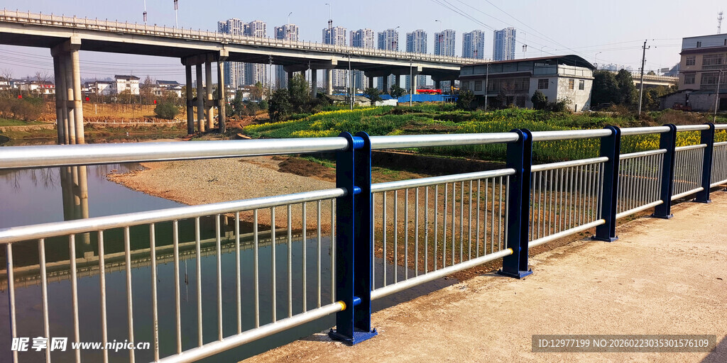 河边护栏旁的城市风景