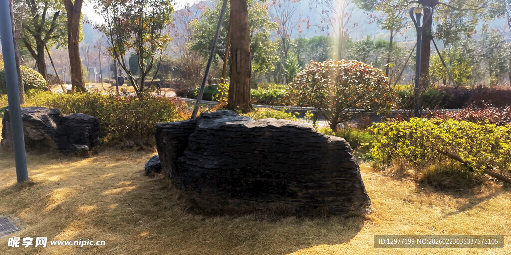 户外园林中的黑色景观石