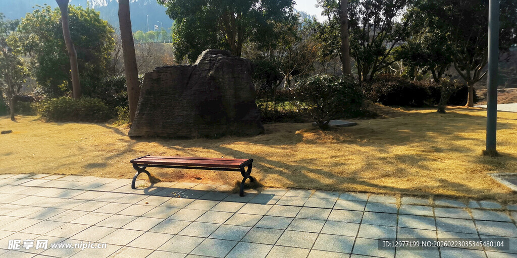 公园中的休闲长椅