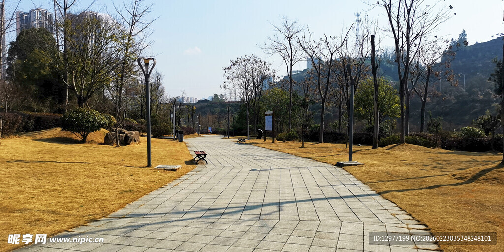 林间漫步道 冬日静谧风光