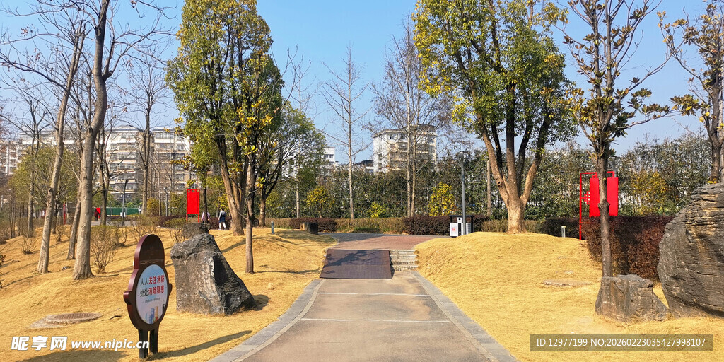秋日公园林荫步道景观