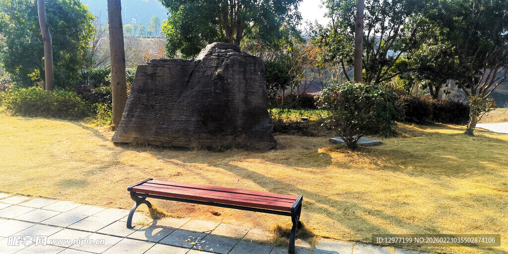 公园中的长椅与自然景观