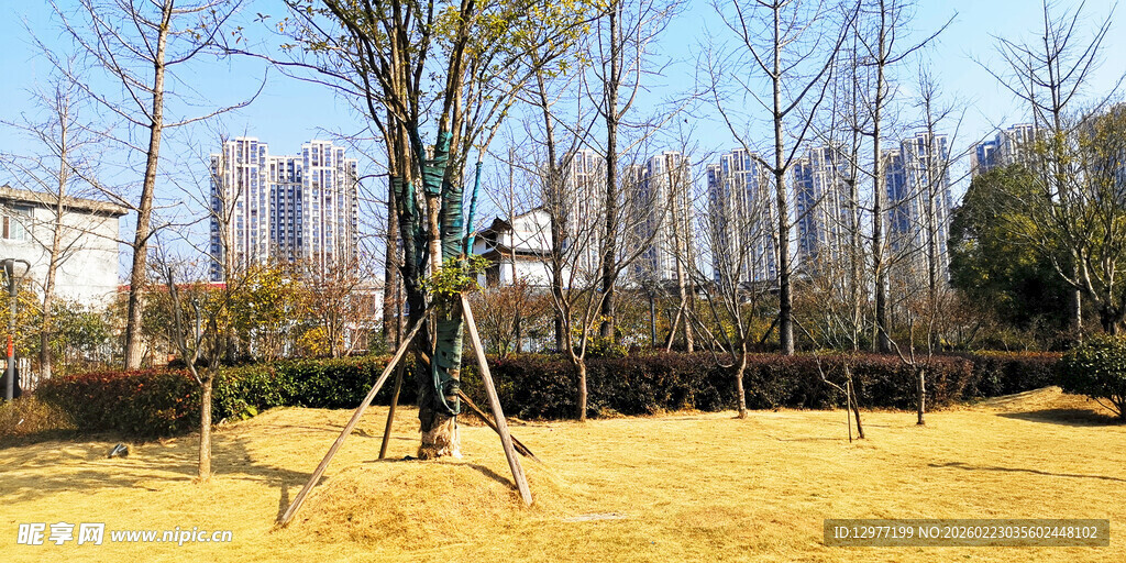 冬日公园的简易木制架