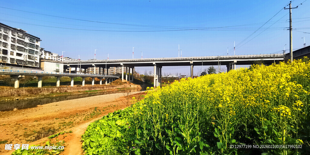田野旁的高架桥与烂漫花田