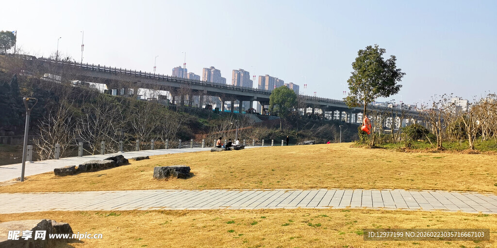 城市公园开阔景观
