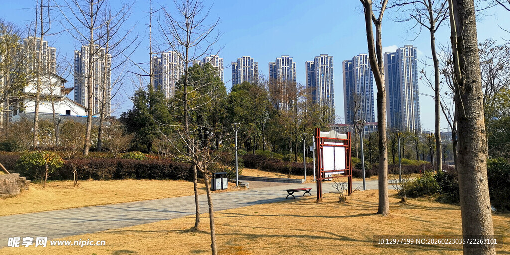 城市公园中的休闲小径